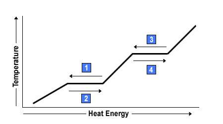 Plz  a typical phase change diagram is shown below. what are the correct names of the nu