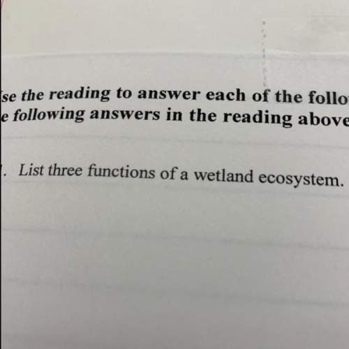 List three functions of a wetland ecosystem.