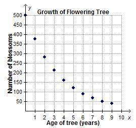 If a flowering tree is cared for properly, the number of blossoms produced on the tree will exponent