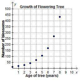 If a flowering tree is cared for properly, the number of blossoms produced on the tree will exponent