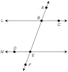 Given that lines l and m are parallel, which of the statements is true?