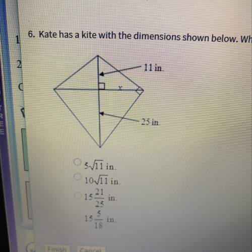Kate has a kite with the dimensions shown below. what is the value of x?