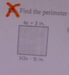 Ihave another question as well!  it says find the perimeter of the square. could anyone