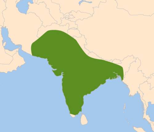 What does the shaded area on the map show? a. india after world war ii b. bangladesh after world wa