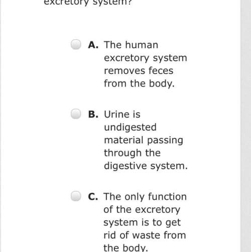 Which of the following is true about the excretory system  btw one of the options