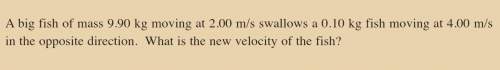 Iam struggling on this physics question. could someone give me the answer to it with a detailed exp