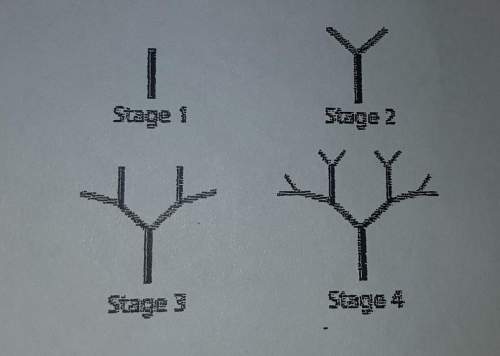 Afractal tree starts with a single tree branch (the trunk). at each stage, each new branch from the