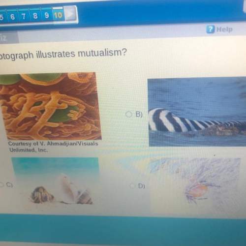 Which photograph illustrates mutualism?  a)  b)  c)  d)