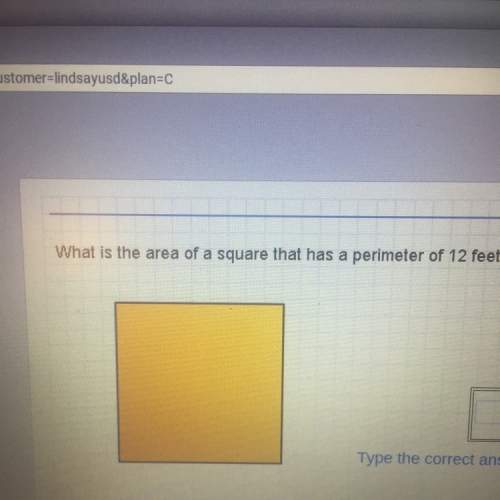 Ineed what is the perimeter of this square