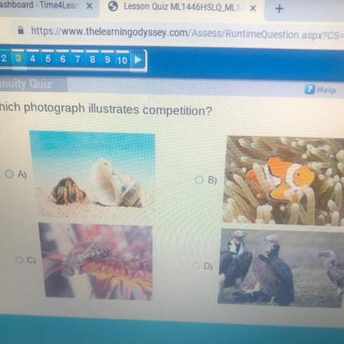 Which photograph illustrates competition?  a) b) c) d)