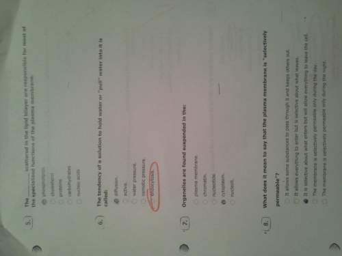 Which ones are wrong if the are wrong what is the right answer