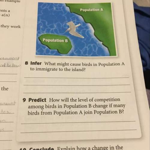 What might cause birds in population a to immigrate to the island? how will the level of competitio