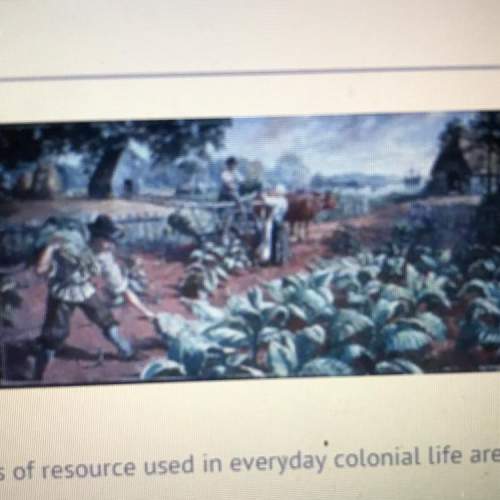 Using the provided image which types of resources are used in everyday colonial life are shown