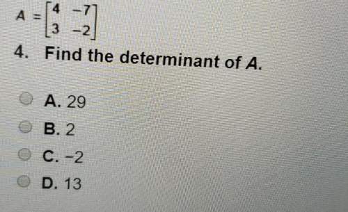Find the determinant of a.a.29b.2c.-2d.13