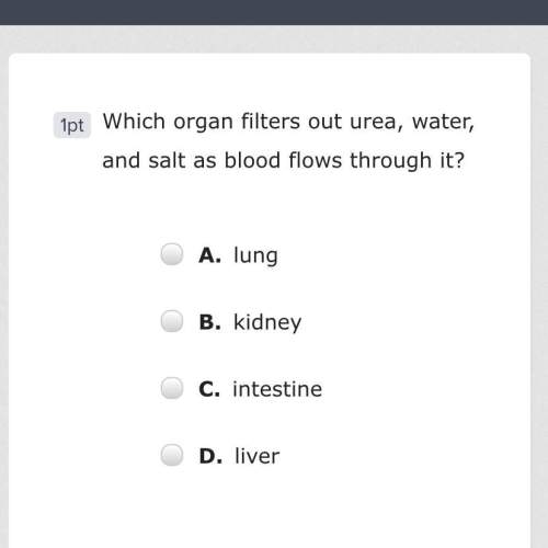 Which organ filters out urea, water, and salt as blood flows through it?