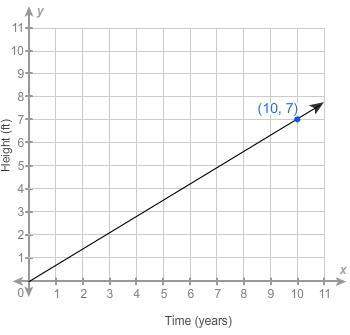 Atree’s height, in feet, is proportional to the number of years it has been growing. the graph shows