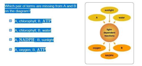 Which pair of terms are missing from a and b on the diagram? a, chlorophyll; b, atp