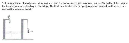 Plz  1. a bungee jumper leaps from a bridge and stretches the bungee cord to its maximu
