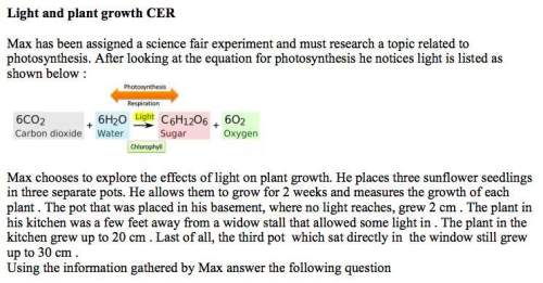 How does light affect plant growth?