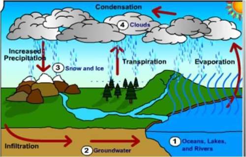 Precipitation will increase in areas where there is a) less transpiration and less run-off.