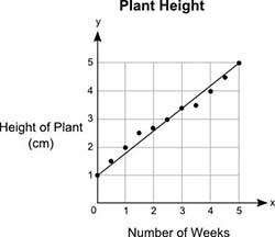 The graph shows the heights, y (in centimeters), of a plant after a certain number of weeks, x. donn