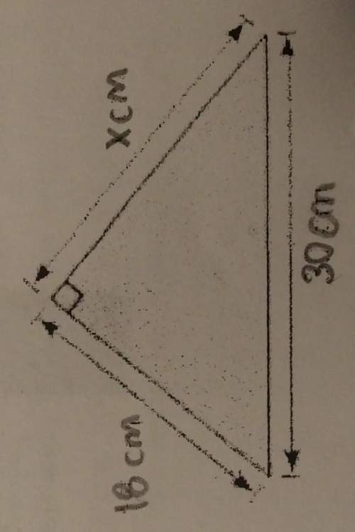 How do i find the x value of this triangle? yo
