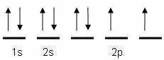 The "up" and "down" arrows in electron orbital notation, such as are shown here, depict:  a. p