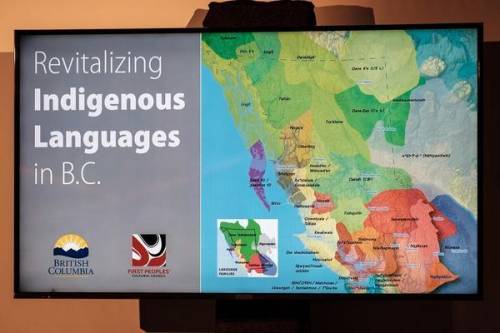 Explain how indigenous languages have been under threat from primary economic activities in the Amer
