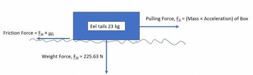 Draw a force diagram of a 23kg box of eel tails being pulled with a rope horizontally across the

bu