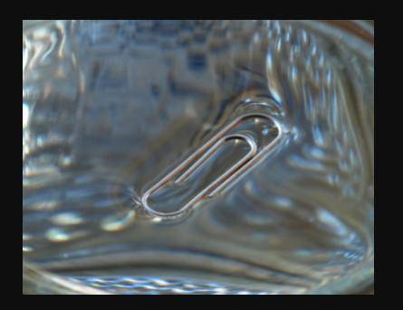 How does surface tension force the surface of water to curve