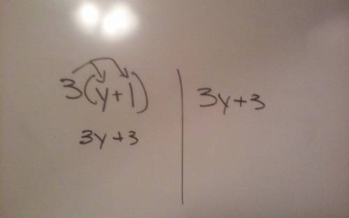 Are the expressions 3(y+1) and 3y+3 equivalent for any value of y?  explain.