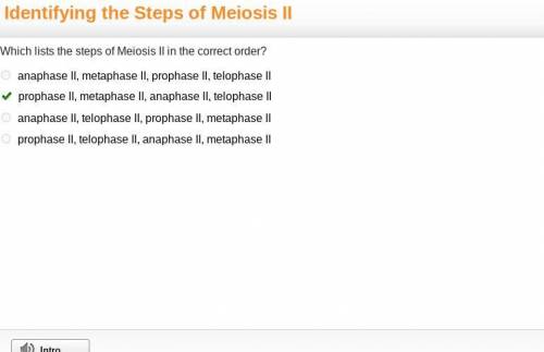 Which lists the steps of Meiosis II in the correct order?

1. anaphase II, metaphase II, prophase II