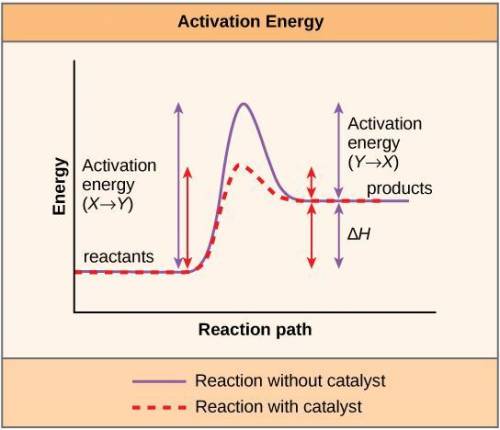How do enzymes speed up chemical reactions
 

3 ways 
also one of them is lower activation energy an