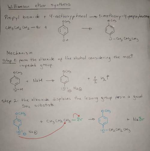 Write a mechanism for the Williamson ether synthesis of 1-methoxy-4-propoxybenzene from 4-methoxyphe