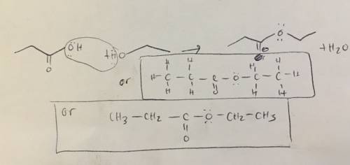 Which of these compounds is the ester formed from the reaction of propanoic acid (ch3ch2cooh) and et