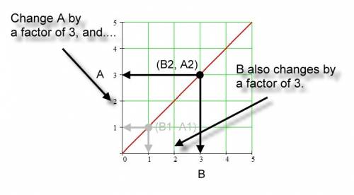 On a graph, which type of line shows a direct proportion?