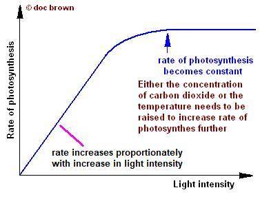 Imagine that y-axis of each graph describes the rate of photosynthesis. Which of the graphs represen