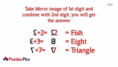 2+2 equals... fish or 4? i need help