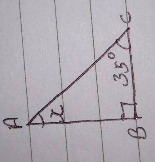 One acute angle of a right triangle measures 35°. What is the measure of the other acute angle? ·