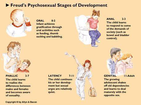 What happens in each of freud's stages?