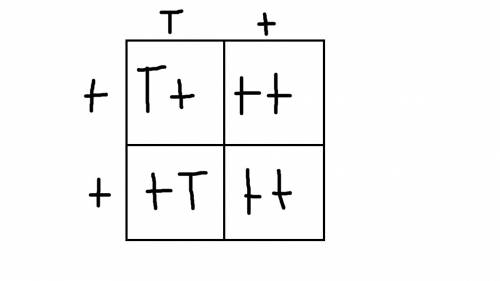 20 points and  complete this punnett square. enter in the space provided. each square is worth 1 poi