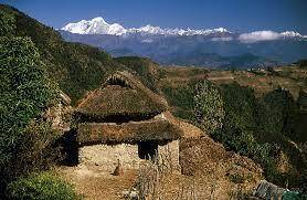 Which province has less area of forest in nepal ? whatcan be its alternatives ?