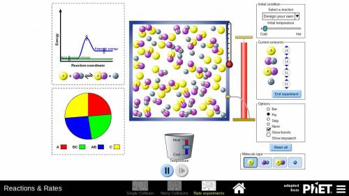 Part C

In the Options window of the simulation, select Pie to show the pie chart. In the window lab