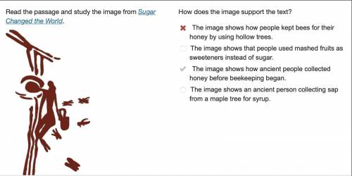 How does the image support the text?

The image shows how people kept bees for their honey by using