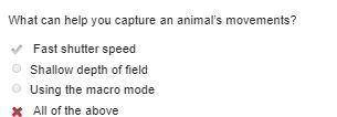 What can help you capture an animal's movements?

O Fast shutter speed O Shallow depth of field O Us