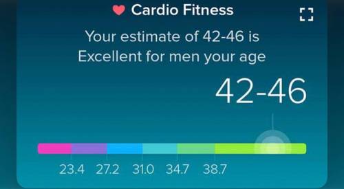 What does a cardio fitness score look like?
I NEED THE ANSWER