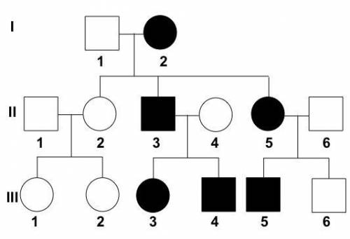 What indicates the biological sex of each individual on the pedigree?