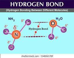 Which of the following is not a property of water? (3 points)

aHydrogen bonding causes a high surfa