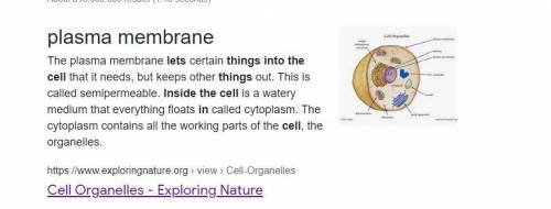 *15 POINTS*

How could disease-causing bacteria get inside a cell without damaging the cell membrane