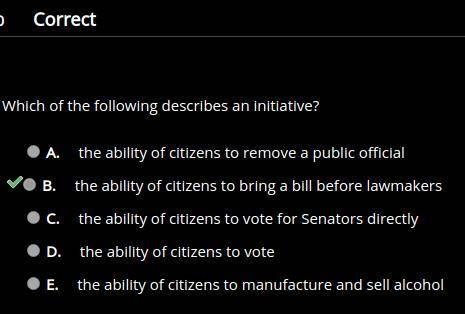 Which of the following describes an initiative?